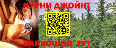 каннабис Кингисепп