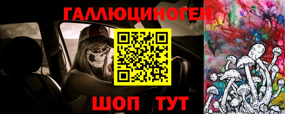 Галлюциногенные грибы мухоморы Костомукша